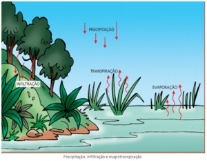 Meio ambiente